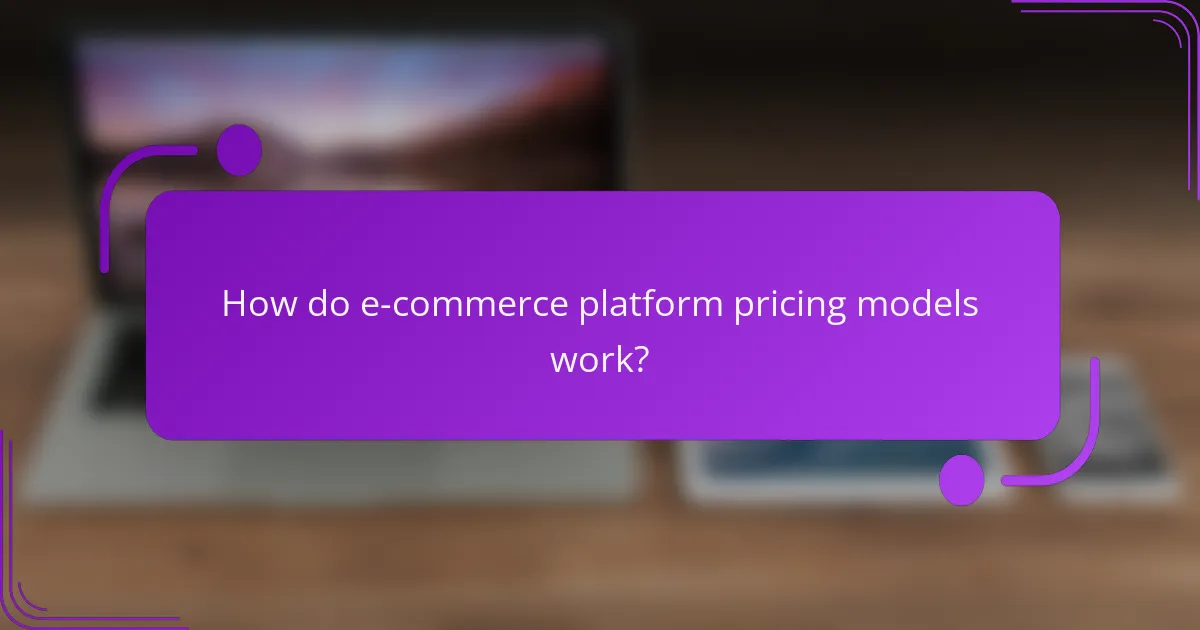 How do e-commerce platform pricing models work?