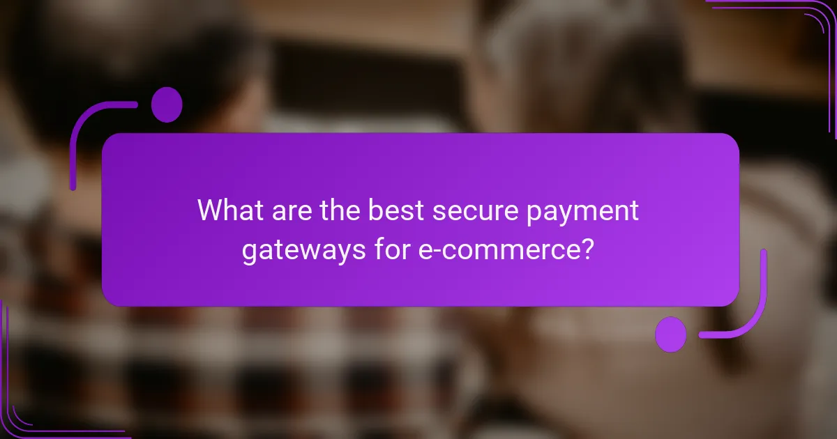 What are the best secure payment gateways for e-commerce?