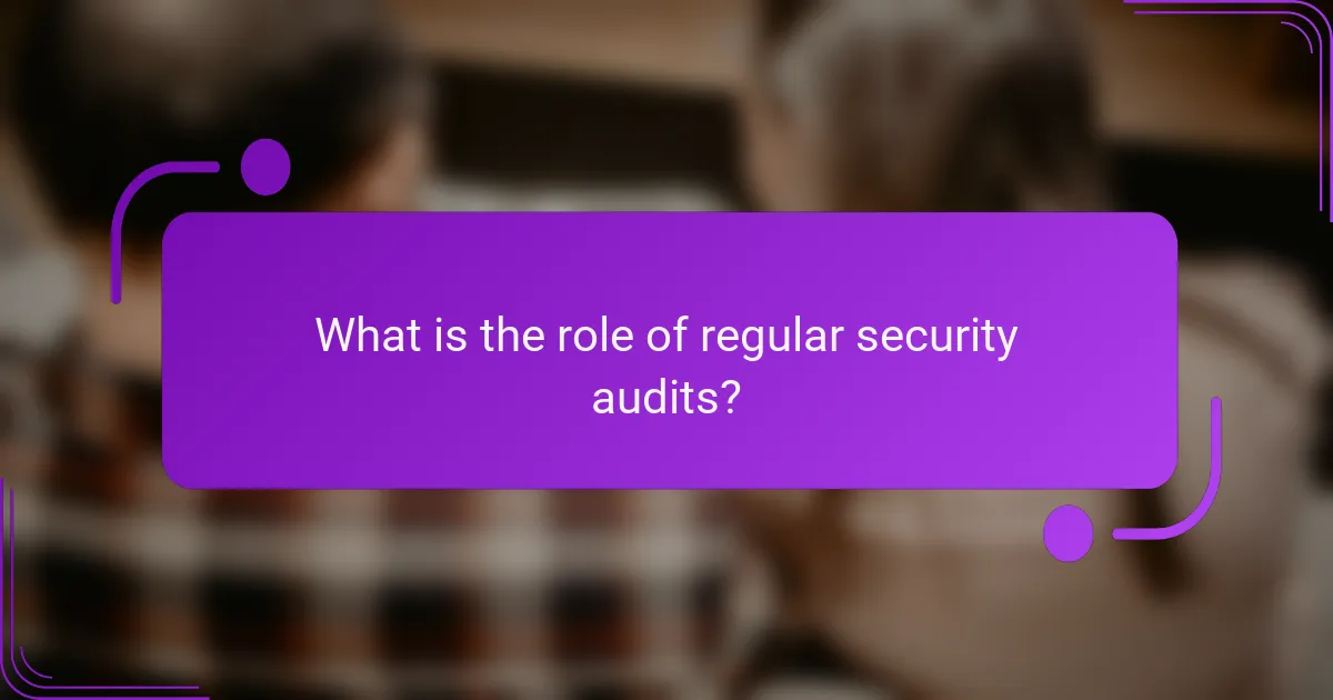 What is the role of regular security audits?