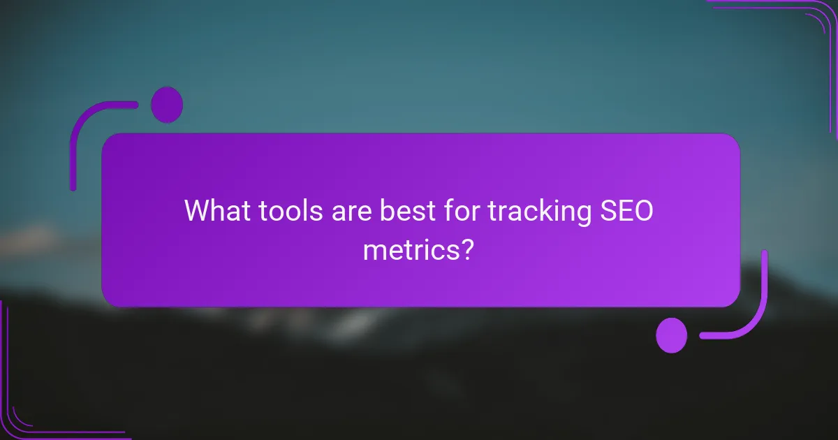 What tools are best for tracking SEO metrics?