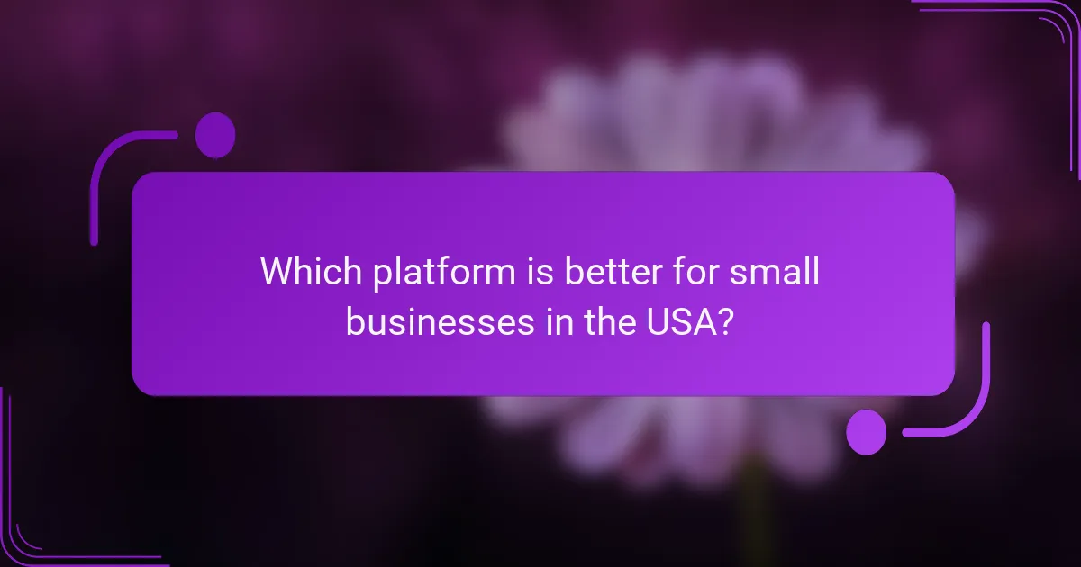 Which platform is better for small businesses in the USA?